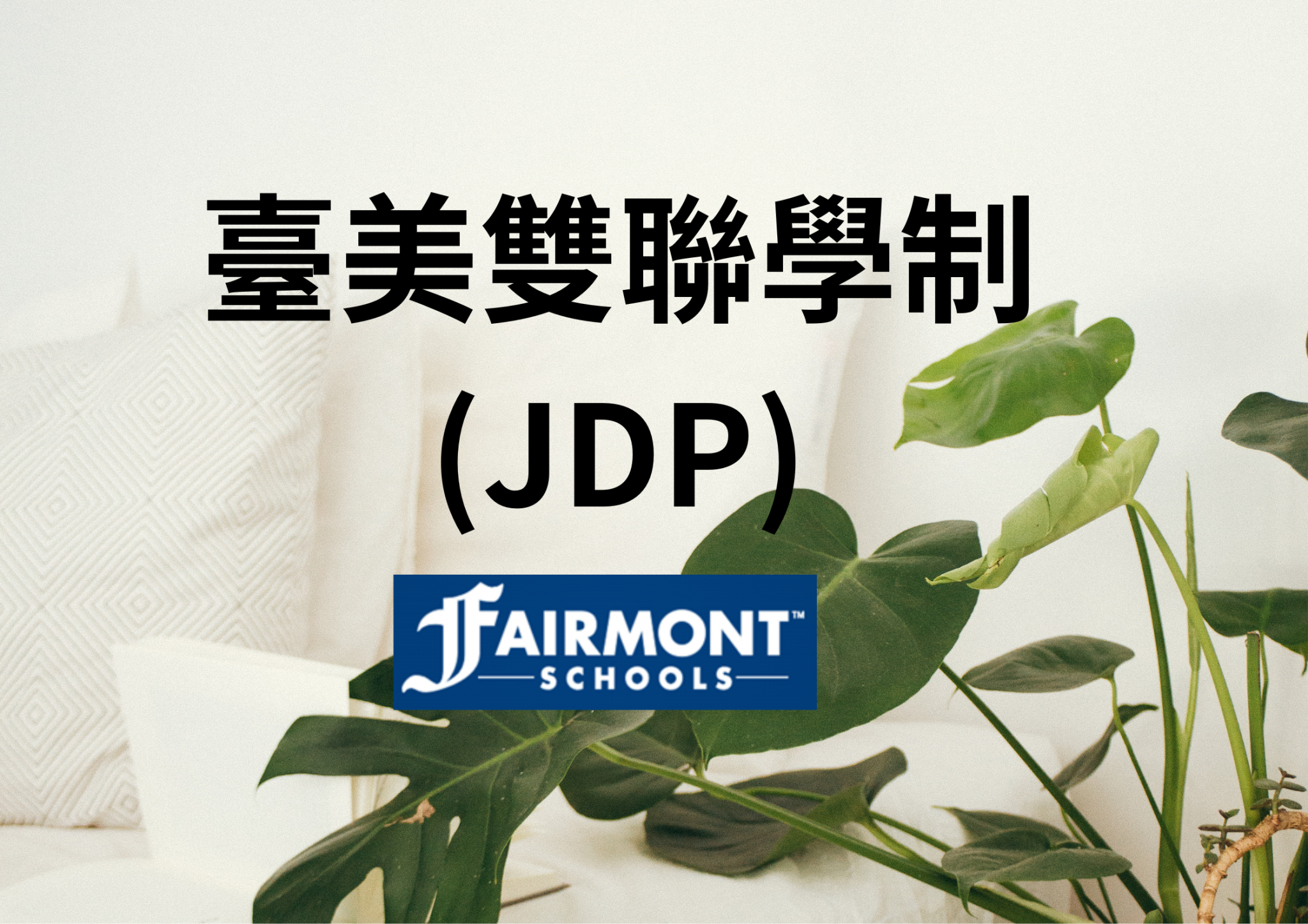 臺美雙聯(JDP)